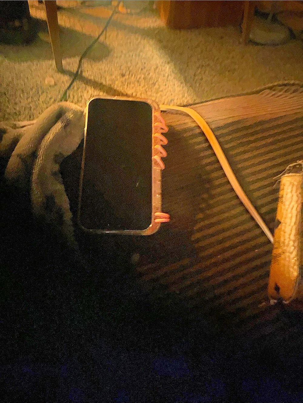 iPhone 12 mini